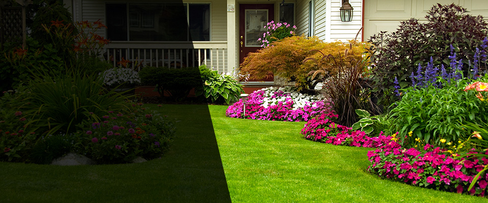 Frazee Landscapers