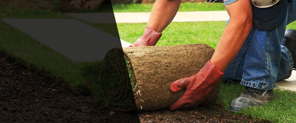 Frazee Landscapers